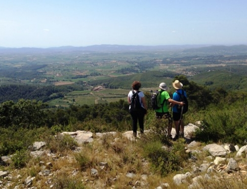 EXCURSIÓ: Bolet i Clivelleres