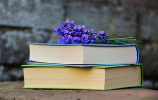 certamen literari